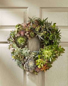 succulent-wreath-0420_vert-onecms-a116a2e6909645b38858788ce9dfe6f7.jpg